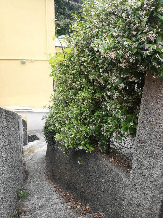 Affittacamere Le Oche Riomaggiore Zewnętrze zdjęcie